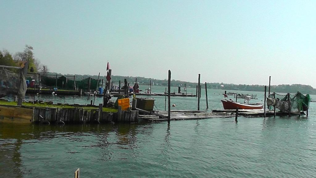 Domhotel Bed & Breakfast Schleswig Bagian luar foto