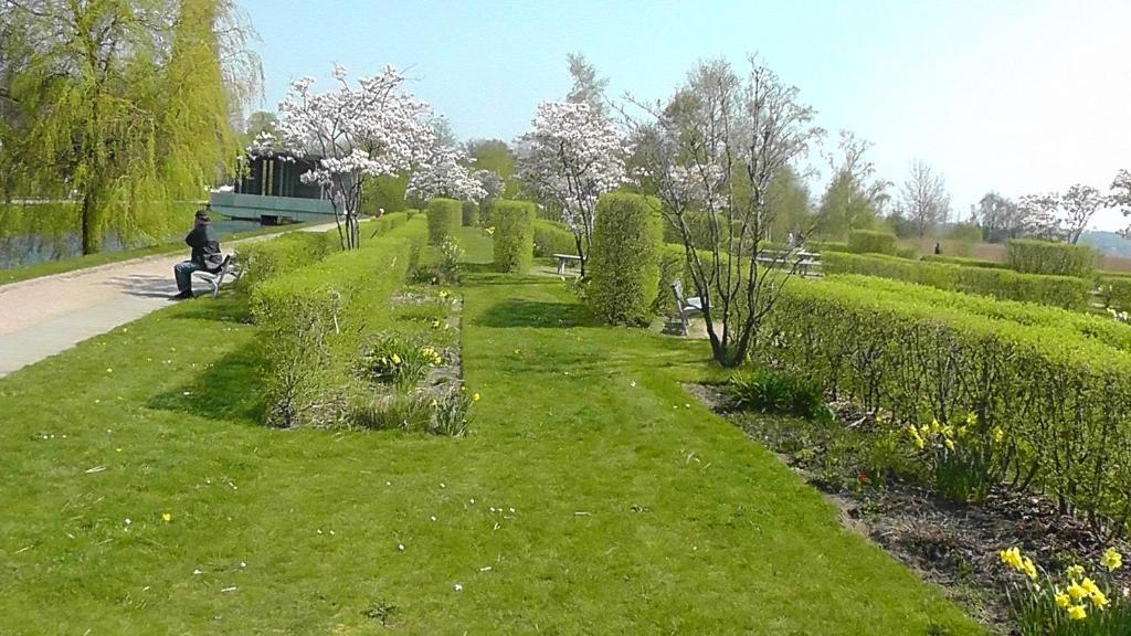 Domhotel Bed & Breakfast Schleswig Bagian luar foto